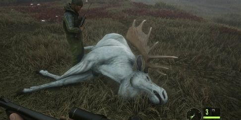 TheHunter Call of The Wild